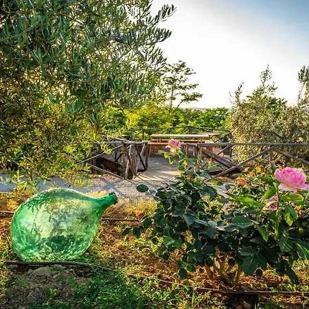 Amadeo By Posarellivillas Montaione